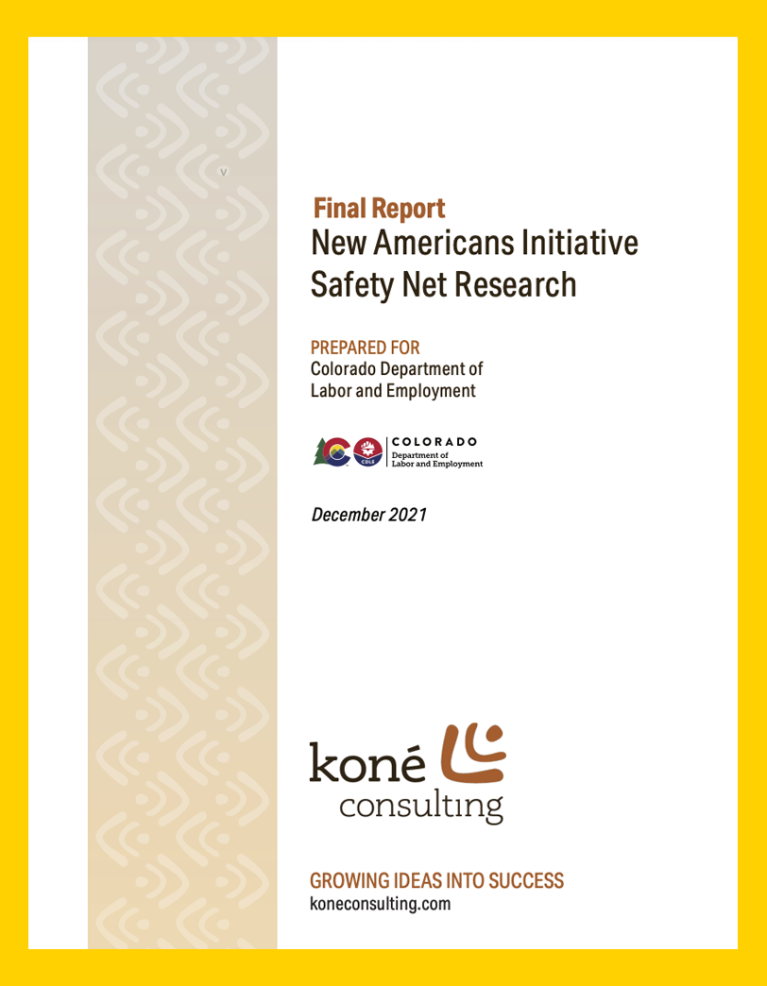 New Americans Initiative Access Research Report